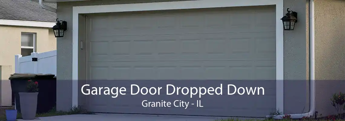 Garage Door Dropped Down Granite City - IL