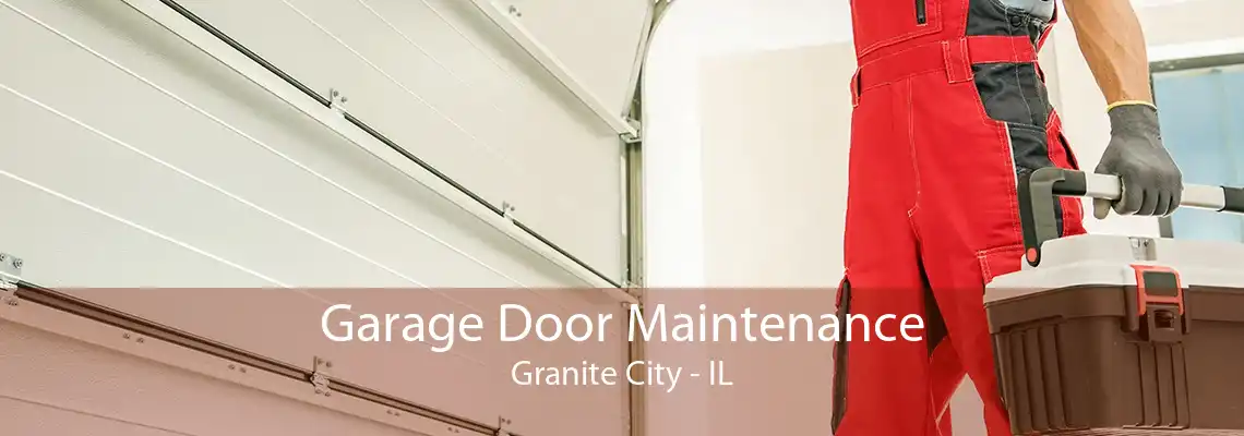 Garage Door Maintenance Granite City - IL