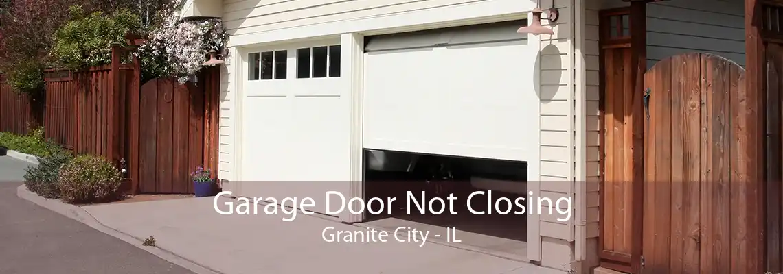 Garage Door Not Closing Granite City - IL