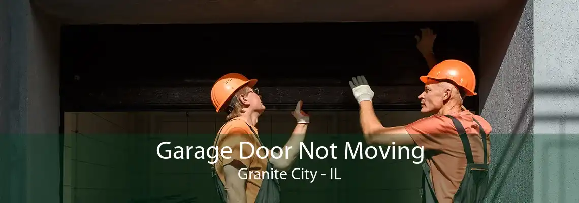 Garage Door Not Moving Granite City - IL