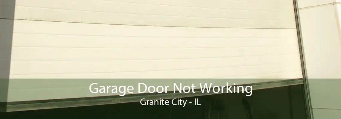 Garage Door Not Working Granite City - IL