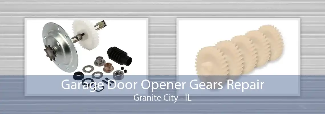 Garage Door Opener Gears Repair Granite City - IL