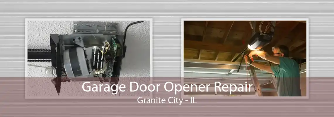 Garage Door Opener Repair Granite City - IL