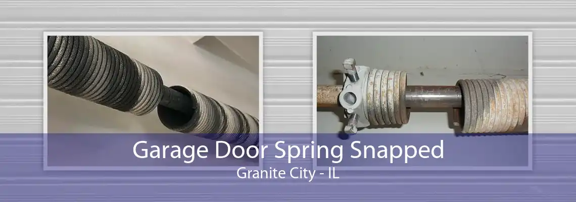 Garage Door Spring Snapped Granite City - IL