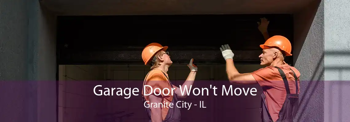 Garage Door Won't Move Granite City - IL