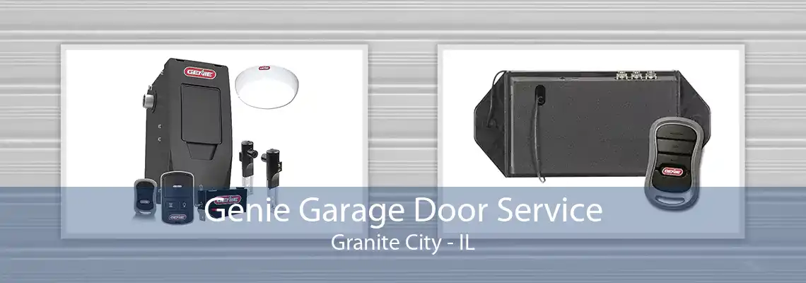 Genie Garage Door Service Granite City - IL